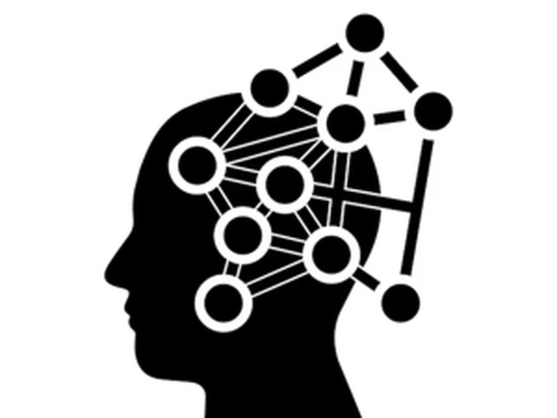 "Neurowissenschaftliche Betrachtung von operativen HR Themen" Modul 2/4