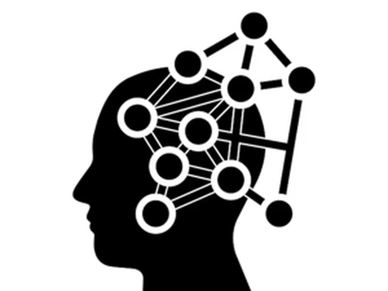 "Neurowissenschaftliche Betrachtung von operativen HR Themen" Modul 1/4